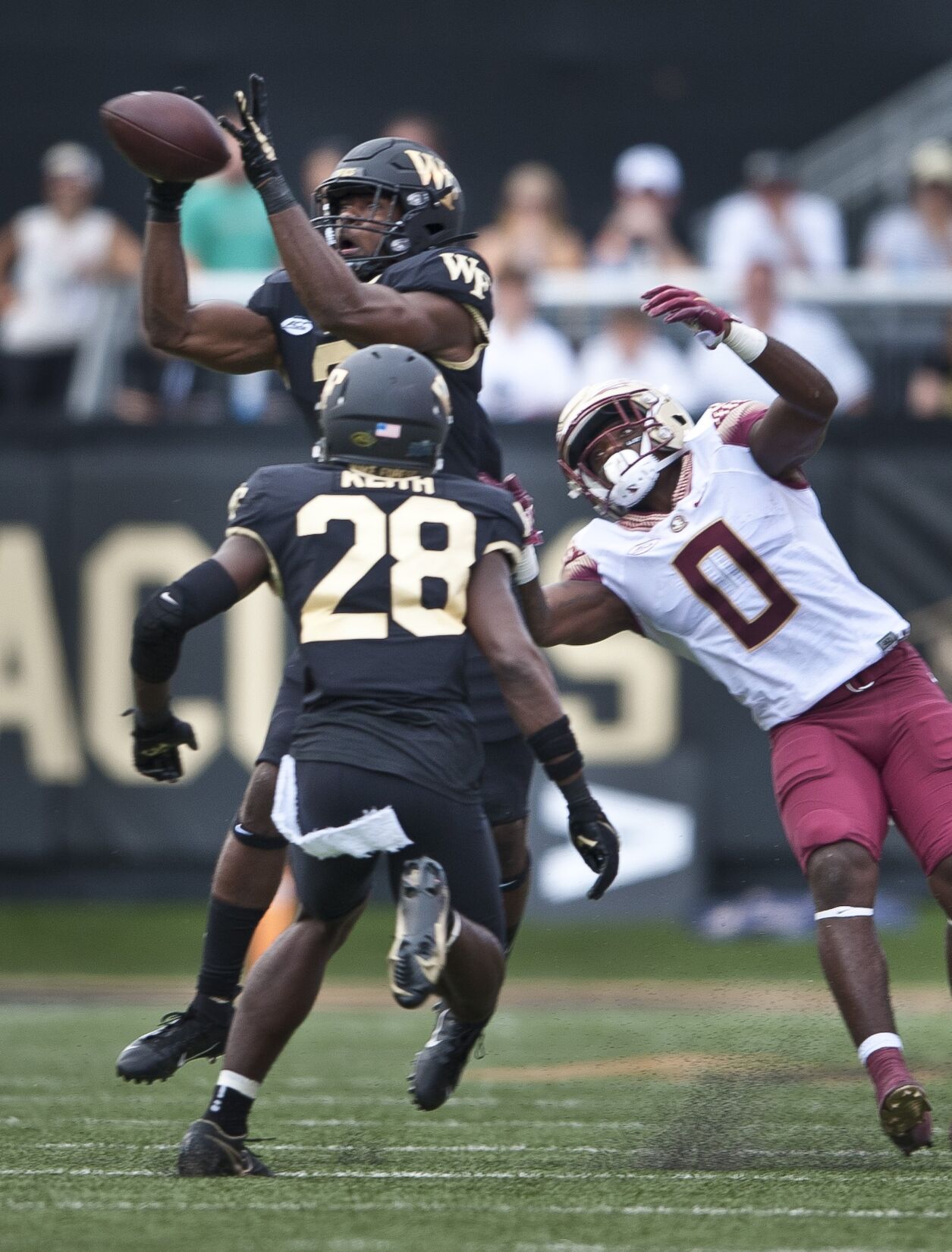 Florida State Wake Forest football